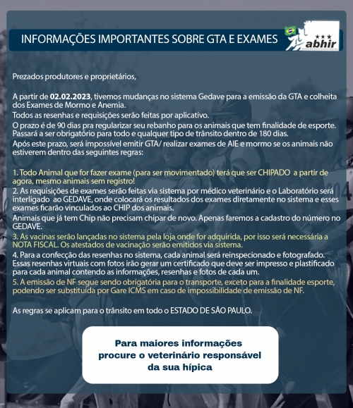 artigo